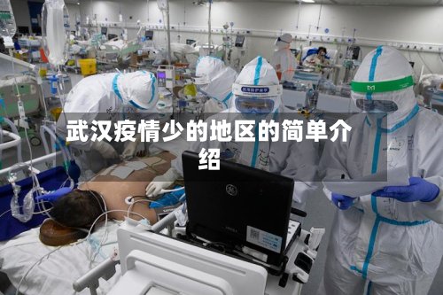 武汉疫情少的地区的简单介绍