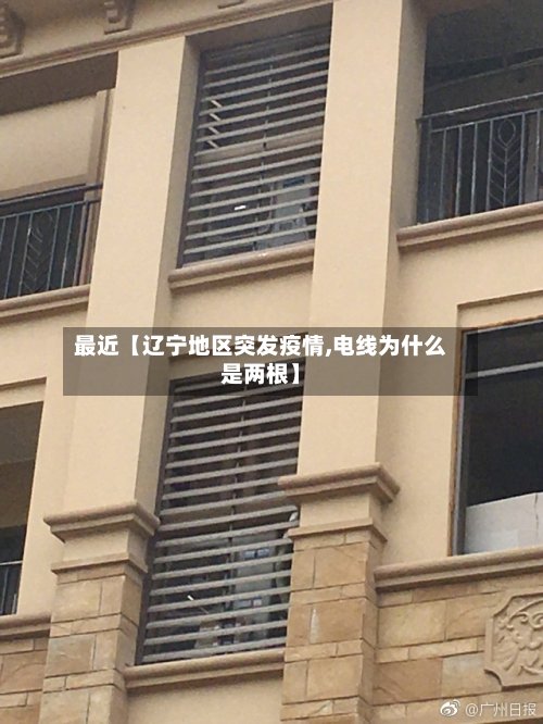最近【辽宁地区突发疫情,电线为什么是两根】-第2张图片