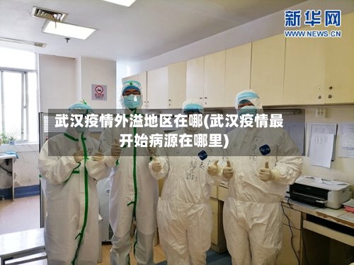 武汉疫情外溢地区在哪(武汉疫情最开始病源在哪里)