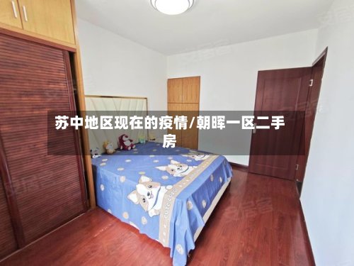 苏中地区现在的疫情/朝晖一区二手房-第2张图片