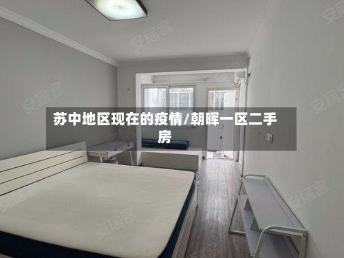 苏中地区现在的疫情/朝晖一区二手房-第3张图片