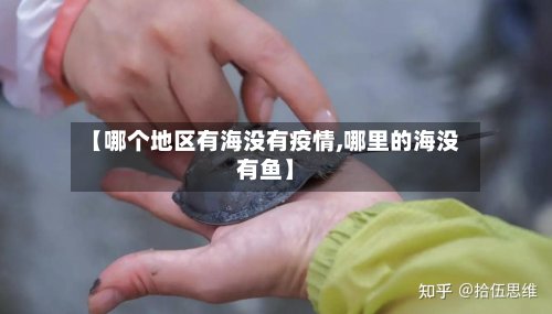 【哪个地区有海没有疫情,哪里的海没有鱼】-第3张图片