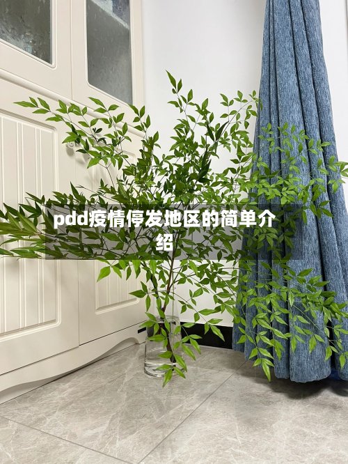pdd疫情停发地区的简单介绍