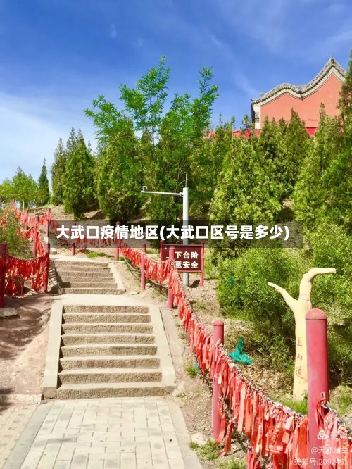 大武口疫情地区(大武口区号是多少)