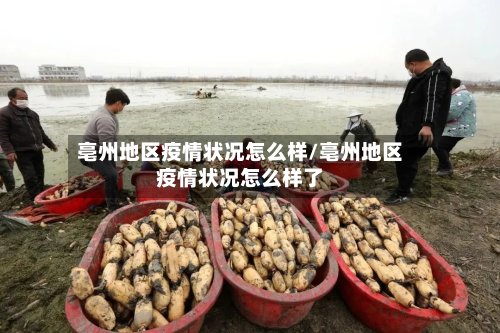 亳州地区疫情状况怎么样/亳州地区疫情状况怎么样了