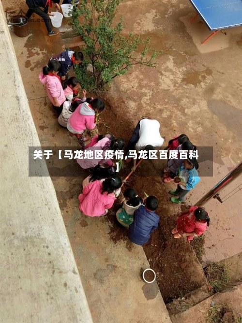 关于【马龙地区疫情,马龙区百度百科】-第3张图片