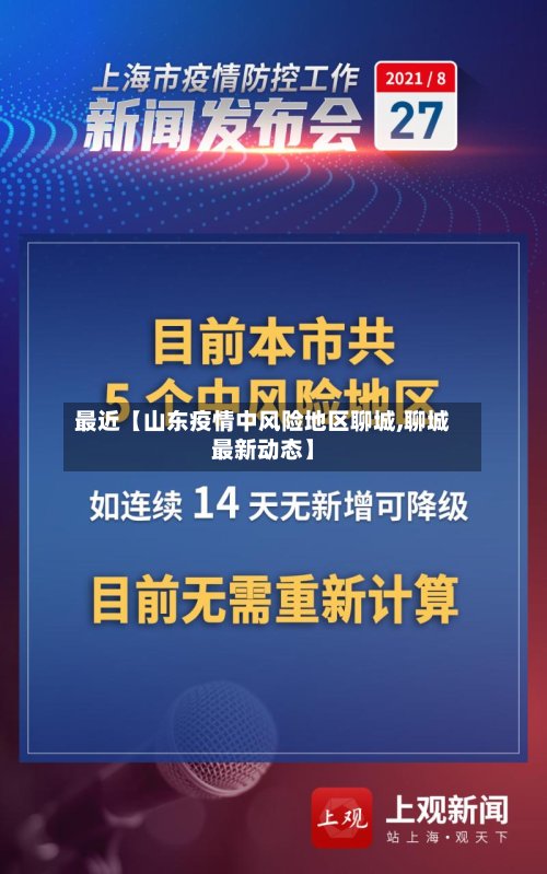 最近【山东疫情中风险地区聊城,聊城最新动态】-第3张图片