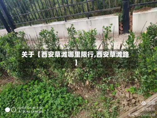 关于【西安草滩哪里限行,西安草滩路】