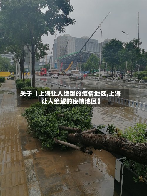 关于【上海让人绝望的疫情地区,上海让人绝望的疫情地区】-第2张图片