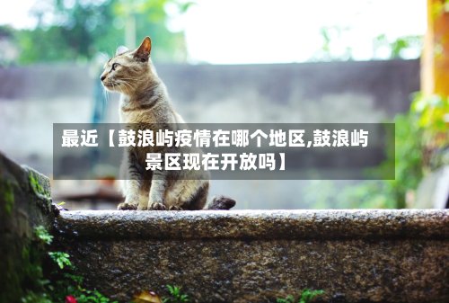最近【鼓浪屿疫情在哪个地区,鼓浪屿景区现在开放吗】-第2张图片