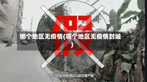 哪个地区无疫情(哪个地区无疫情封城)-第2张图片
