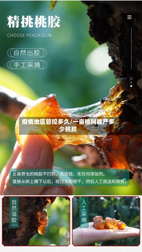 疫情地区管控多久/一亩桃树能产多少桃胶-第3张图片