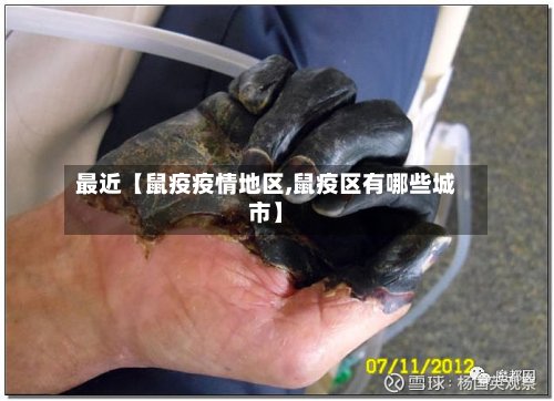 最近【鼠疫疫情地区,鼠疫区有哪些城市】
