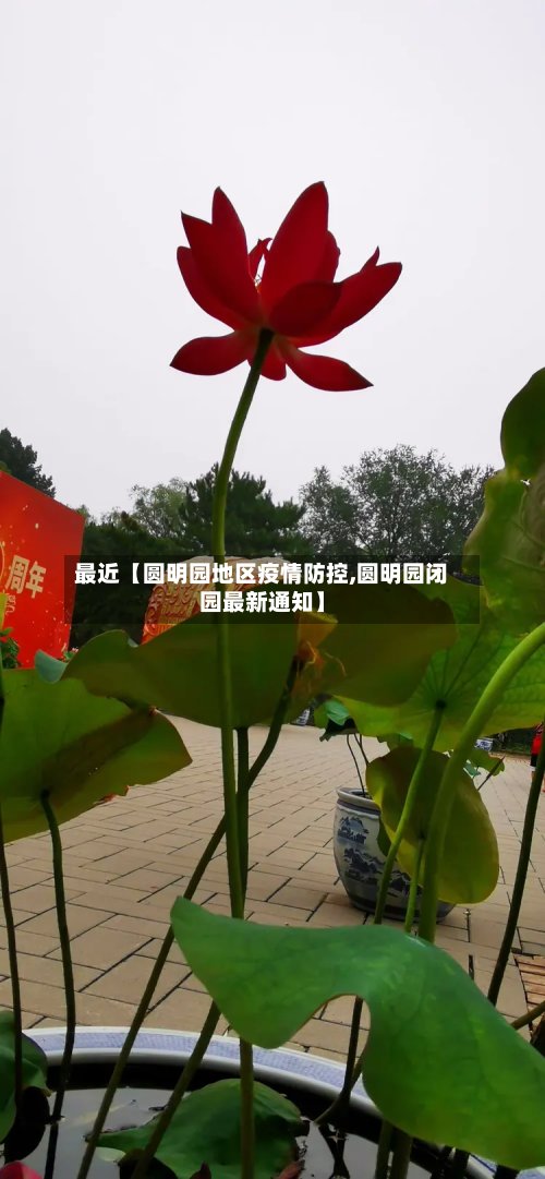 最近【圆明园地区疫情防控,圆明园闭园最新通知】-第2张图片