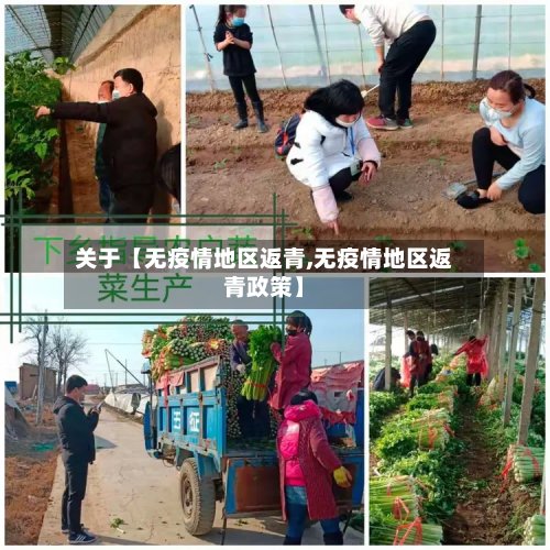关于【无疫情地区返青,无疫情地区返青政策】-第2张图片