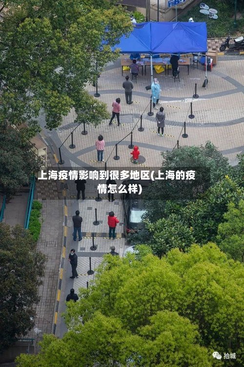 上海疫情影响到很多地区(上海的疫情怎么样)-第2张图片