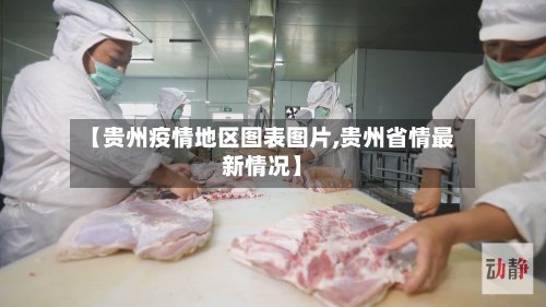 【贵州疫情地区图表图片,贵州省情最新情况】-第2张图片
