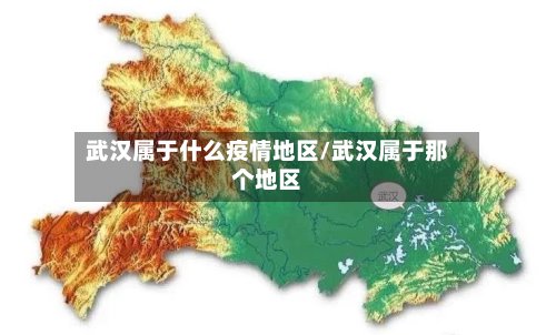 武汉属于什么疫情地区/武汉属于那个地区