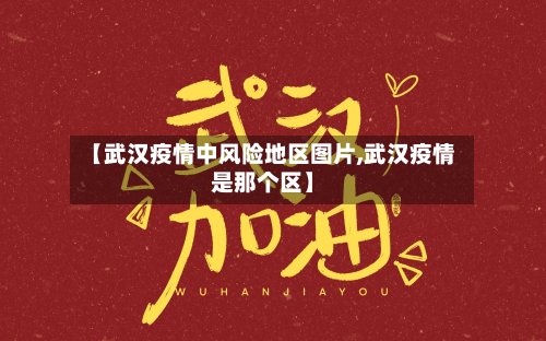 【武汉疫情中风险地区图片,武汉疫情是那个区】-第2张图片
