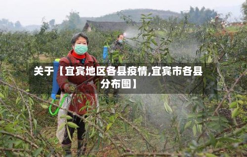 关于【宜宾地区各县疫情,宜宾市各县分布图】