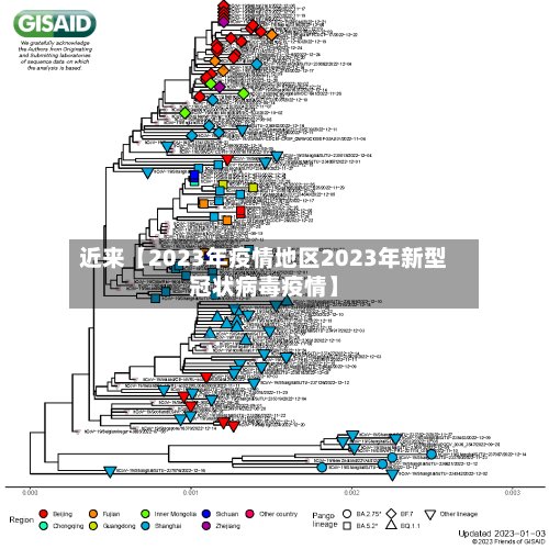 近来【2023年疫情地区2023年新型冠状病毒疫情】-第3张图片