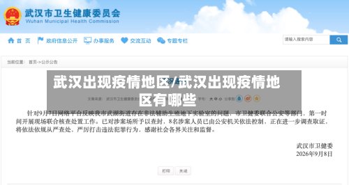 武汉出现疫情地区/武汉出现疫情地区有哪些-第3张图片