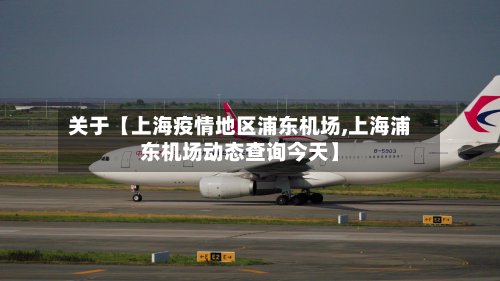 关于【上海疫情地区浦东机场,上海浦东机场动态查询今天】-第2张图片
