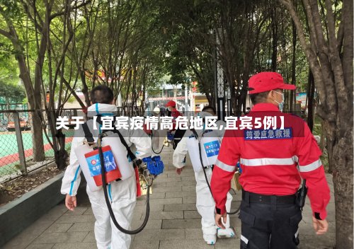 关于【宜宾疫情高危地区,宜宾5例】-第2张图片