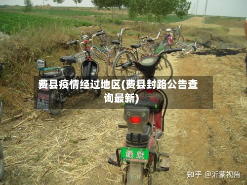 费县疫情经过地区(费县封路公告查询最新)-第2张图片