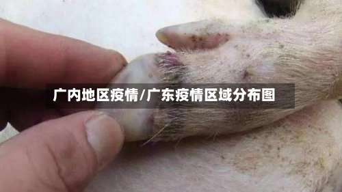 广内地区疫情/广东疫情区域分布图