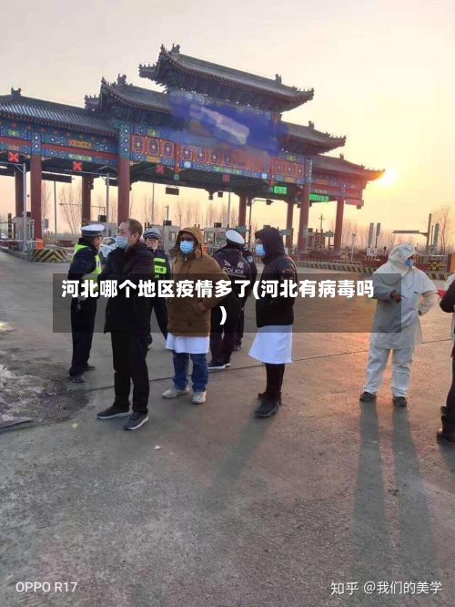 河北哪个地区疫情多了(河北有病毒吗)