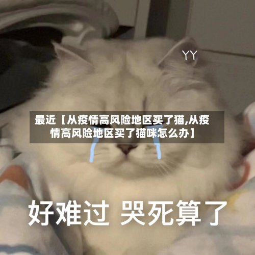 最近【从疫情高风险地区买了猫,从疫情高风险地区买了猫咪怎么办】