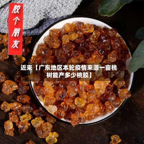 近来【广东地区本轮疫情来源一亩桃树能产多少桃胶】