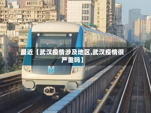 最近【武汉疫情涉及地区,武汉疫情很严重吗】-第3张图片