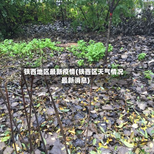 铁西地区最新疫情(铁西区天气情况最新消息)-第2张图片