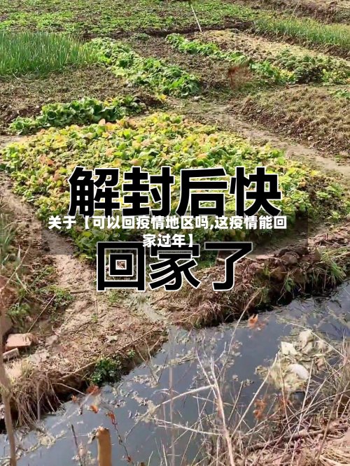 关于【可以回疫情地区吗,这疫情能回家过年】-第3张图片