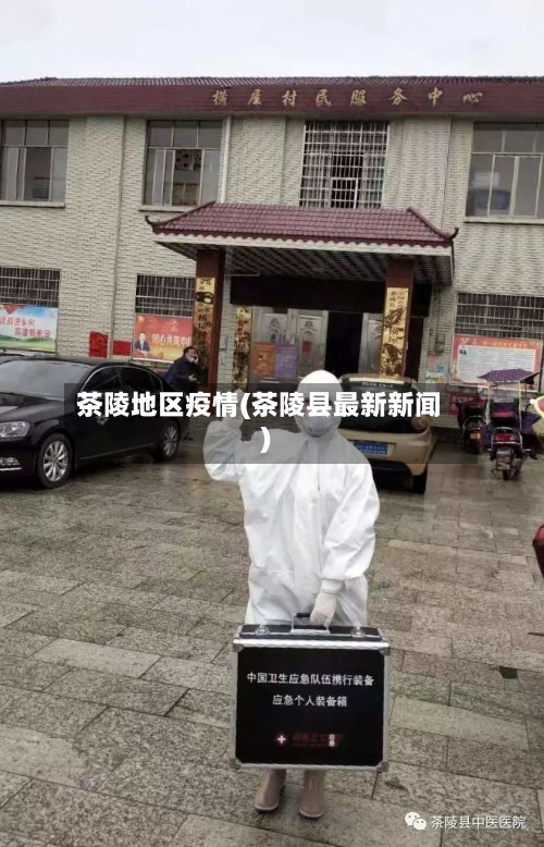 茶陵地区疫情(茶陵县最新新闻)