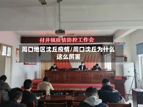 周口地区沈丘疫情/周口沈丘为什么这么厉害-第2张图片