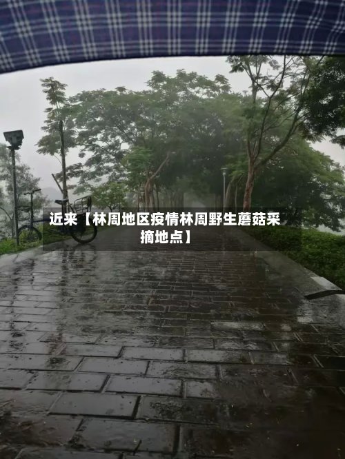 近来【林周地区疫情林周野生蘑菇采摘地点】