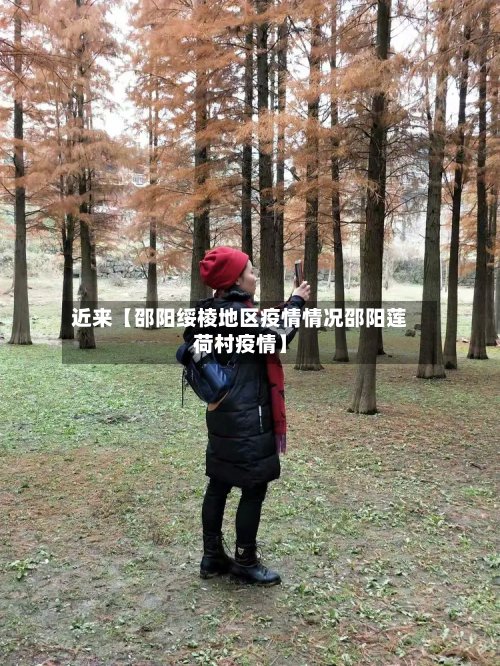 近来【邵阳绥棱地区疫情情况邵阳莲荷村疫情】-第2张图片