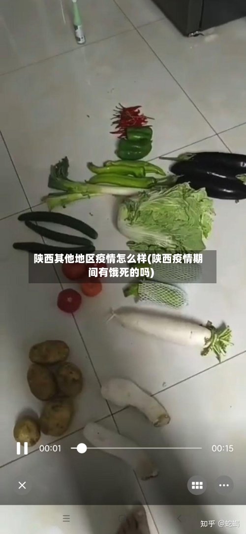 陕西其他地区疫情怎么样(陕西疫情期间有饿死的吗)