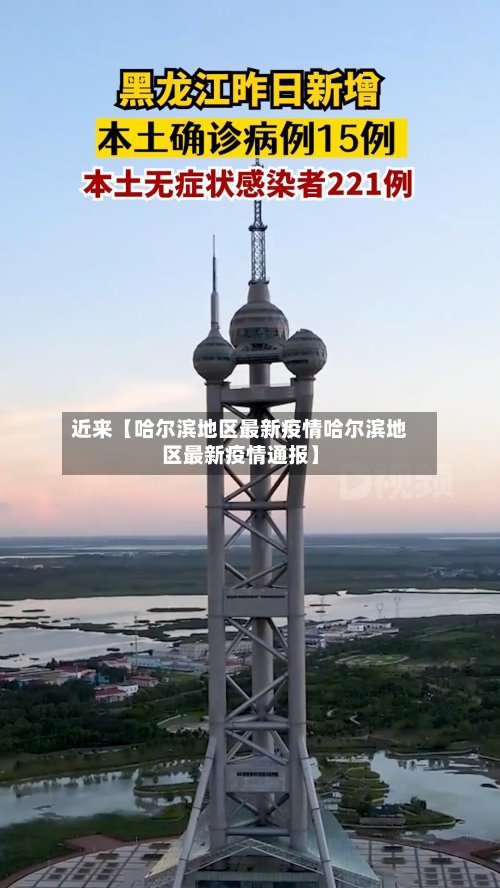 近来【哈尔滨地区最新疫情哈尔滨地区最新疫情通报】-第2张图片