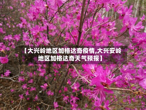 【大兴岭地区加格达奇疫情,大兴安岭地区加格达奇天气预报】-第3张图片
