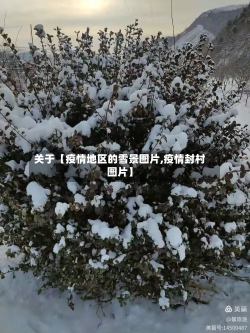 关于【疫情地区的雪景图片,疫情封村图片】-第2张图片