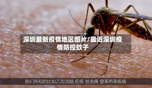 深圳最新疫情地区图片/最近深圳疫情防控蚊子-第2张图片