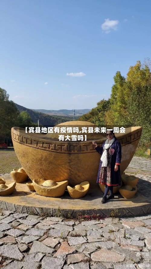 【宾县地区有疫情吗,宾县未来一周会有大雪吗】-第2张图片