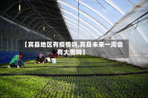 【宾县地区有疫情吗,宾县未来一周会有大雪吗】-第3张图片