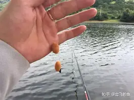 开挂技巧“水鱼天下金州水鱼辅助”(免费)开挂辅助教学(最新辅助开挂教程)